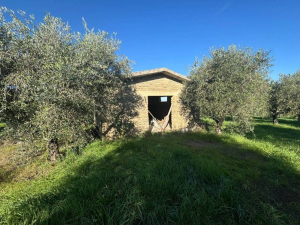 locale commerciale in vendita a Gallicano nel Lazio