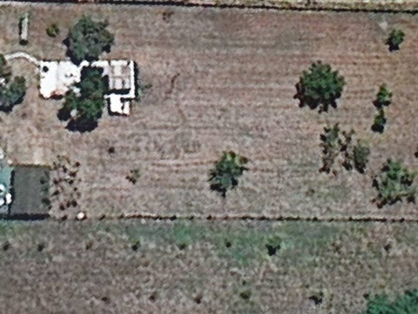 casa indipendente in vendita a Gallicano nel Lazio