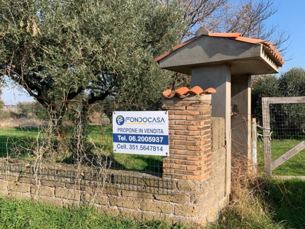 terreno agricolo in vendita a Gallicano nel Lazio
