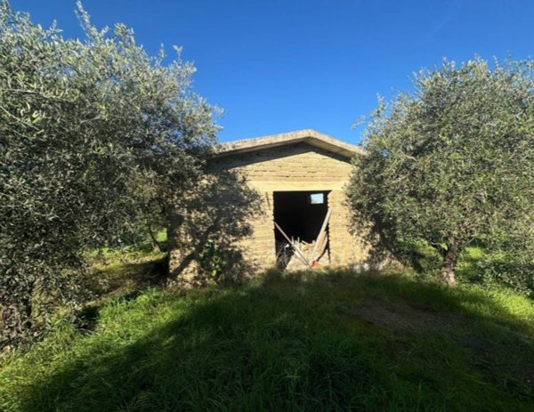 locale commerciale in vendita a Gallicano nel Lazio