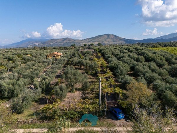 appartamento in vendita a Gallicano nel Lazio