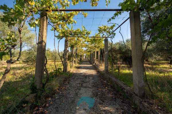 casa indipendente in vendita a Gallicano nel Lazio
