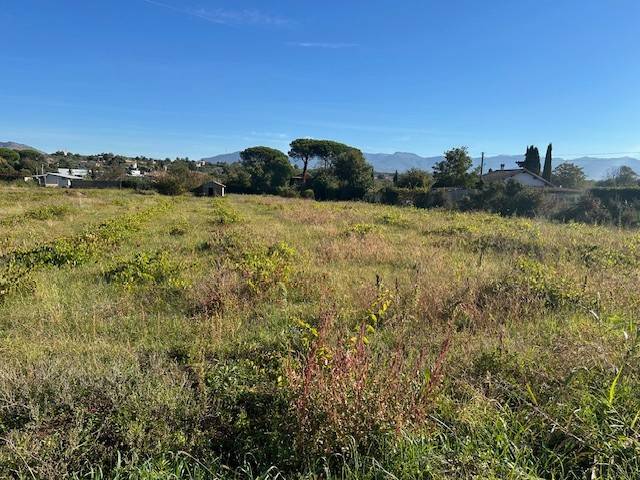 terreno agricolo in vendita a Gallicano nel Lazio