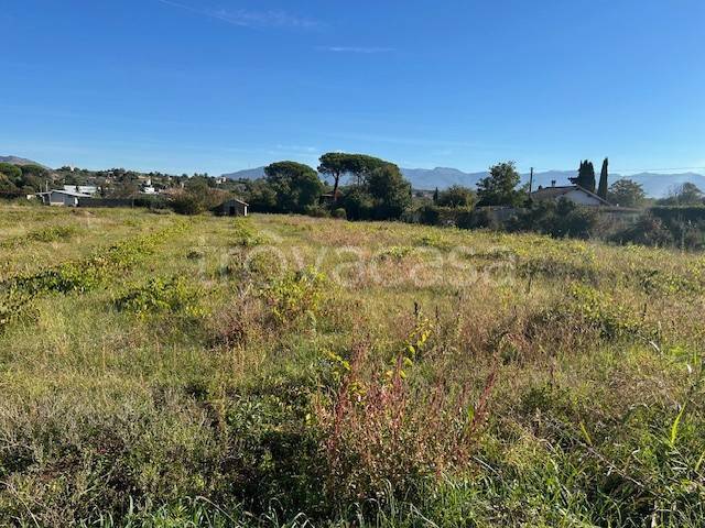 terreno agricolo in vendita a Gallicano nel Lazio