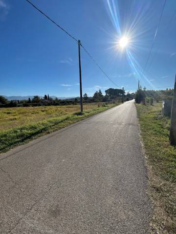 terreno agricolo in vendita a Gallicano nel Lazio