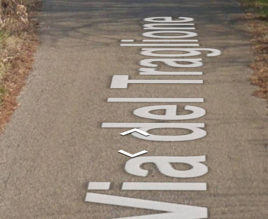 azienda agricola in vendita a Gallicano nel Lazio