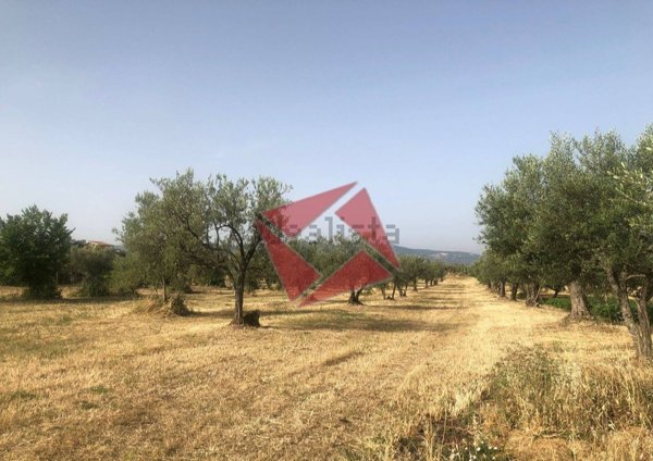 appartamento in vendita a Gallicano nel Lazio