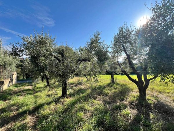 ufficio in vendita a Gallicano nel Lazio