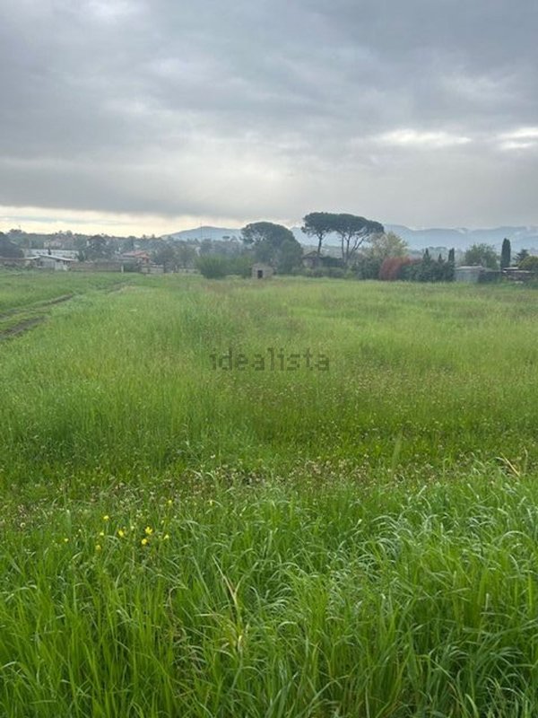 terreno agricolo in vendita a Gallicano nel Lazio
