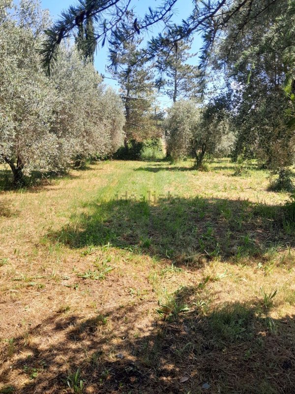 appartamento in vendita a Gallicano nel Lazio