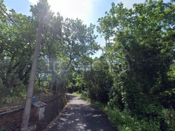 terreno agricolo in vendita a Gallicano nel Lazio