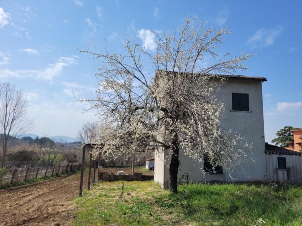 appartamento in vendita a Gallicano nel Lazio