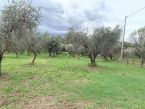 terreno agricolo in vendita a Gallicano nel Lazio