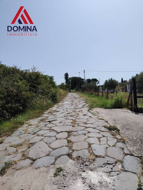 terreno agricolo in vendita a Gallicano nel Lazio