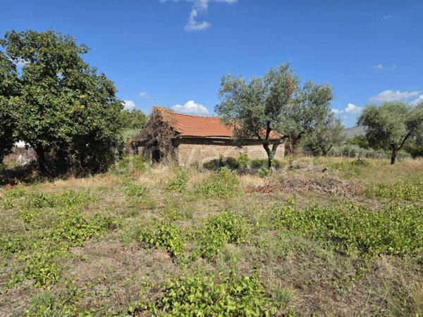 locale commerciale in vendita a Gallicano nel Lazio