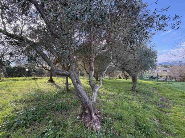 terreno in vendita a Gallicano nel Lazio