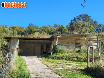 casa indipendente in vendita a Gavignano
