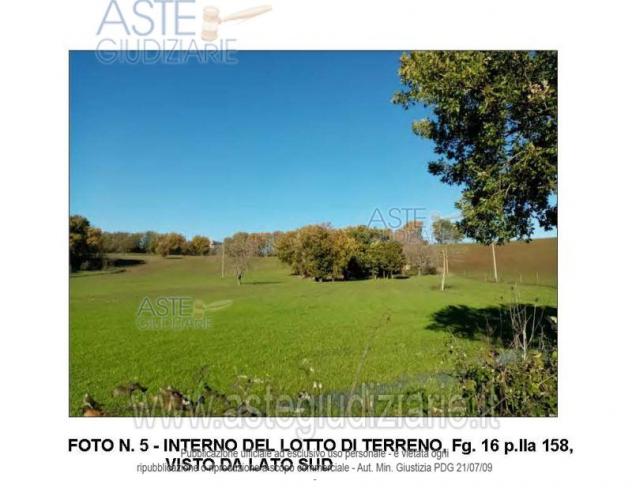 terreno edificabile in vendita a Gavignano