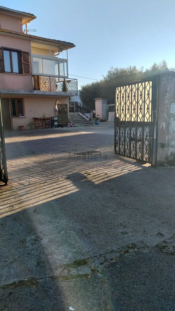 esavano in vendita a Gavignano