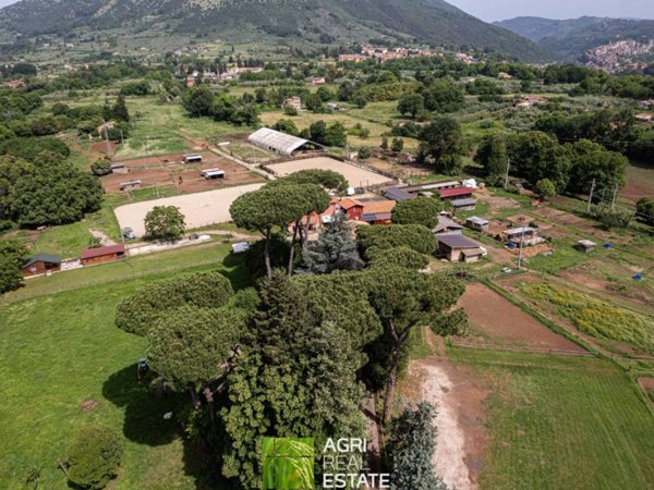 terreno agricolo in vendita a Genazzano