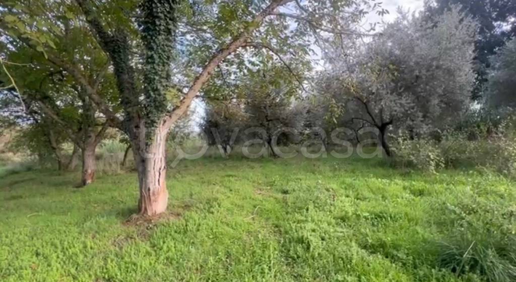 casa indipendente in vendita a Genazzano