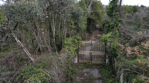 terreno agricolo in vendita a Genazzano