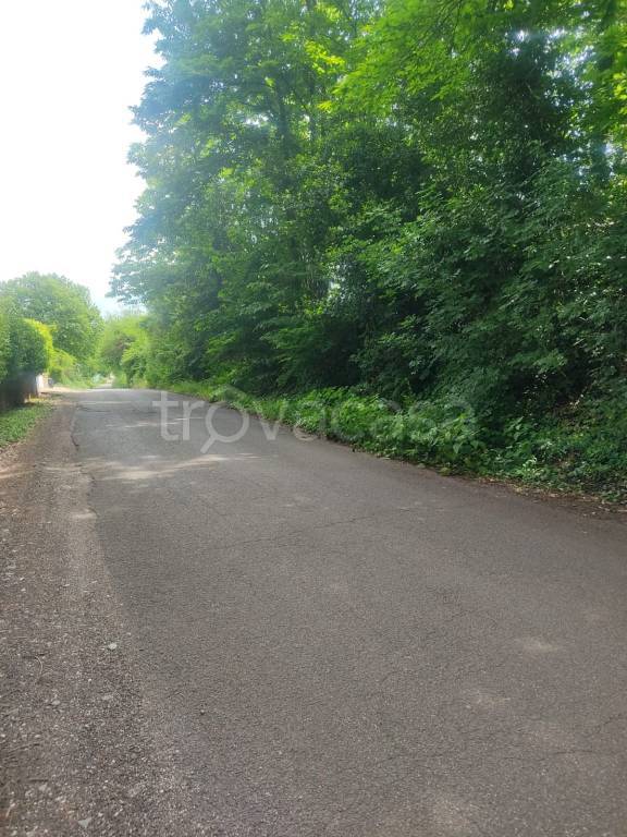 terreno agricolo in vendita a Genazzano