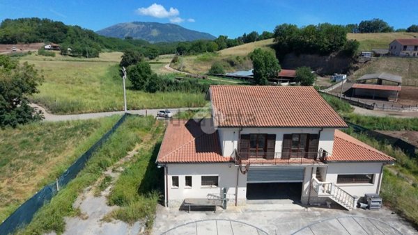 esavano in vendita a Genazzano