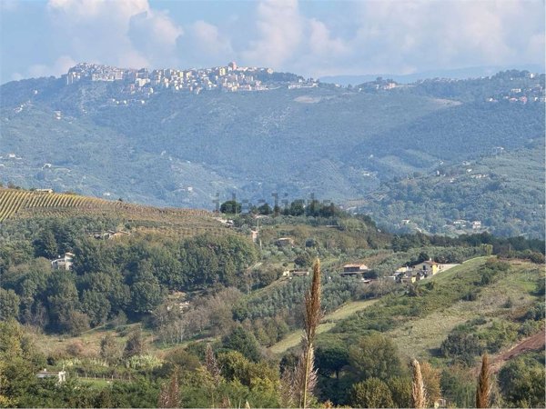 appartamento in vendita a Genazzano