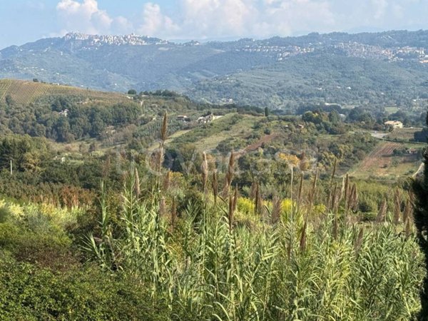 casa indipendente in vendita a Genazzano