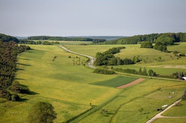 terreno agricolo in vendita a Genazzano