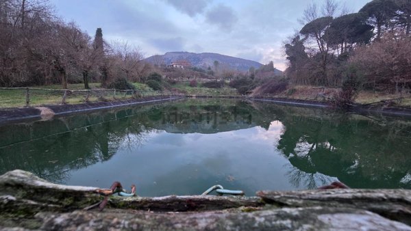 negozio in vendita a Genazzano