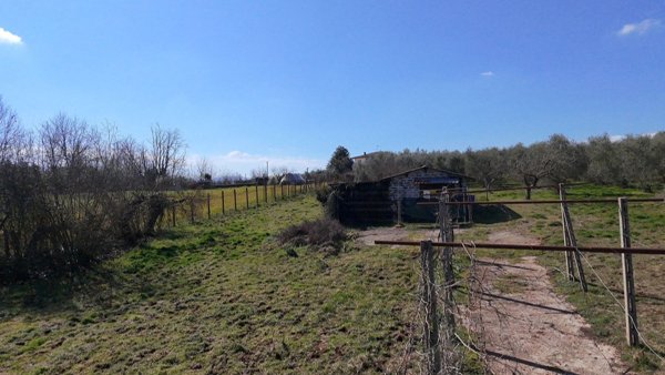 appartamento in vendita a Genazzano