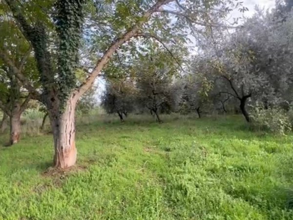 terreno agricolo in vendita a Genazzano