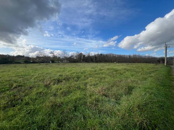terreno agricolo in vendita a Genazzano