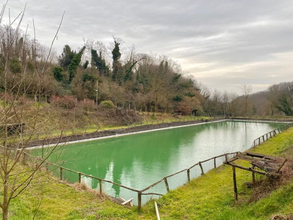 appartamento in vendita a Genazzano
