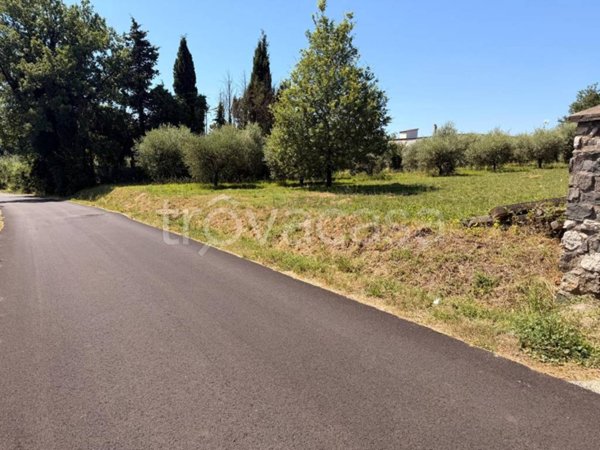terreno agricolo in vendita a Genazzano