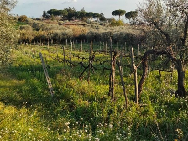 terreno agricolo in vendita a Genzano di Roma