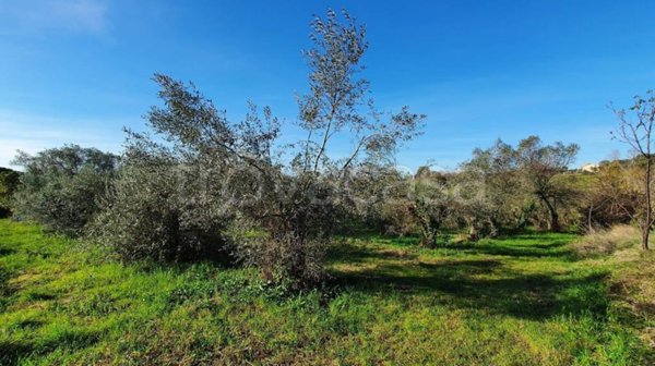 terreno agricolo in vendita a Genzano di Roma