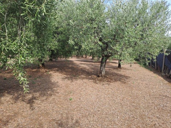 terreno agricolo in vendita a Genzano di Roma