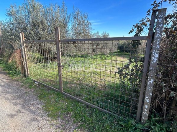 terreno agricolo in vendita a Genzano di Roma in zona Landi