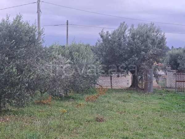 terreno agricolo in vendita a Genzano di Roma in zona Muti