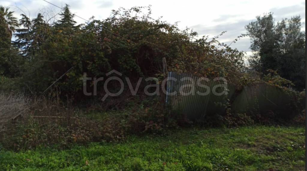 terreno agricolo in vendita a Genzano di Roma
