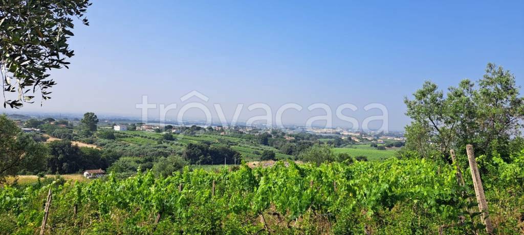 terreno agricolo in vendita a Genzano di Roma