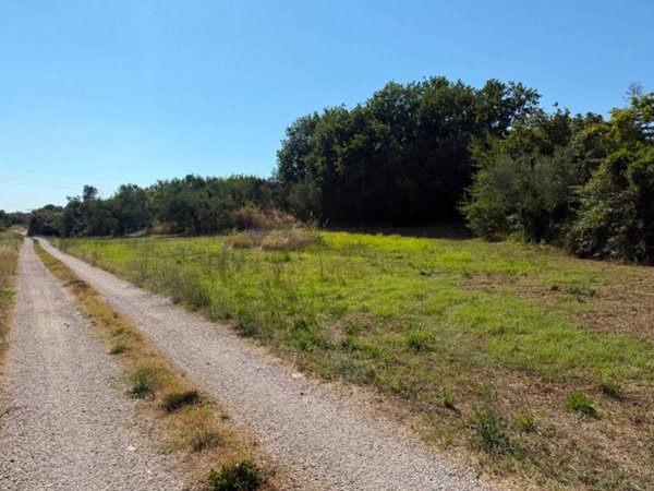 terreno agricolo in vendita a Genzano di Roma