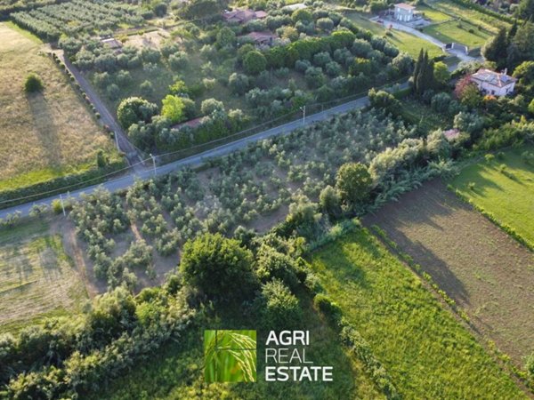 terreno agricolo in vendita a Genzano di Roma in zona Landi