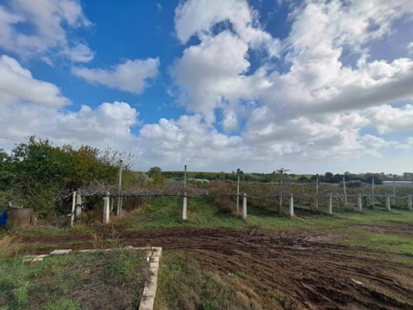 terreno agricolo in vendita a Genzano di Roma in zona Landi