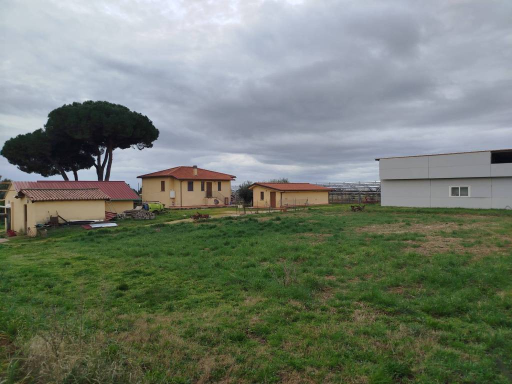 azienda agricola in vendita a Genzano di Roma in zona Landi