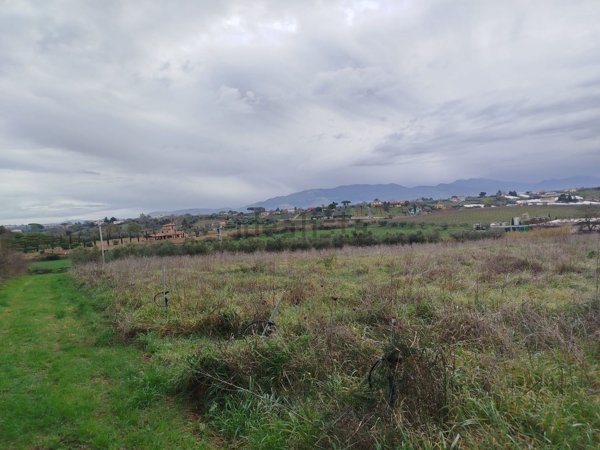 azienda agricola in vendita a Genzano di Roma