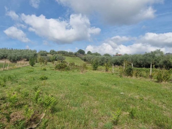 terreno agricolo in vendita a Genzano di Roma in zona Landi